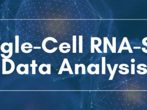 Copy of Single-cell RNA seq.png